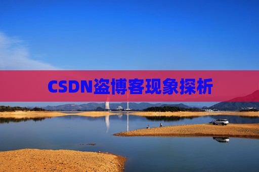 CSDN盗博客现象探析
